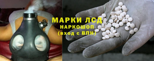 шишки Заводоуковск
