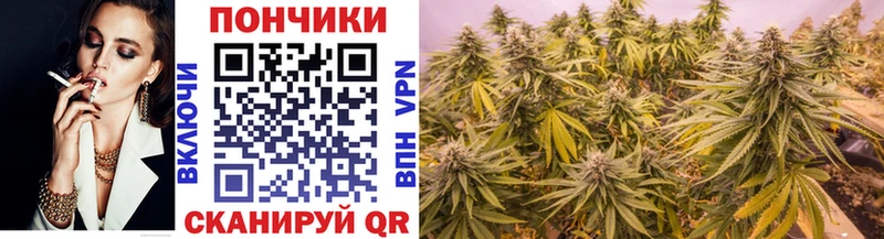 Шишки марихуана тримм  купить наркотики цена  Николаевск-на-Амуре 